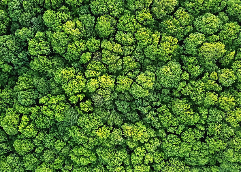 sustainability